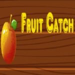 Fruit catch